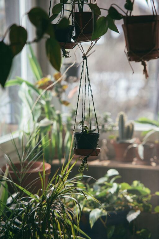 Simple Tips to Improve Indoor Air Quality in Your Home